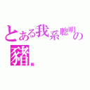 とある我系聰明の豬（葵）