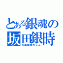 とある銀魂の坂田銀時（万事屋銀ちゃん）