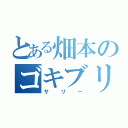 とある畑本のゴキブリ（サリー）