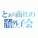 とある商社の海外子会社（クリオマリン）