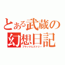 とある武蔵の幻想日記（ブラックヒストリー）