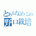 とあるなめこの野口栽培（）