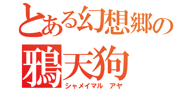 とある幻想郷の鴉天狗（シャメイマル アヤ）