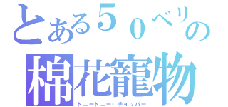 とある５０ベリーの棉花寵物（トニートニー・チョッパー）