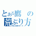 とある鷹の荒ぶり方（荒ぶる鷹のポーズ）