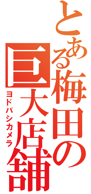 とある梅田の巨大店舗（ヨドバシカメラ）