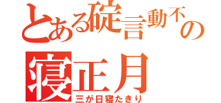 とある碇言動不審の寝正月（三が日寝たきり）