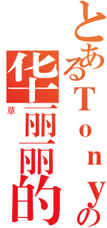 とあるＴｏｎｙの华丽丽的ａｋ（草）