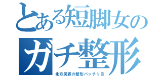 とある短脚女のガチ整形（北方民族の整形パッチリ目）