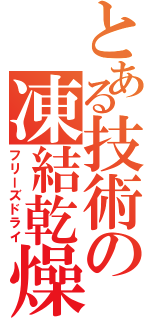 とある技術の凍結乾燥（フリーズドライ）