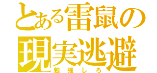 とある雷鼠の現実逃避（勉強しろ）