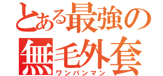 とある最強の無毛外套（ワンパンマン）