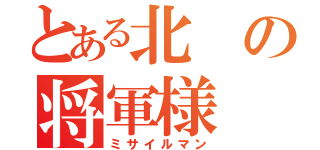 とある北の将軍様（ミサイルマン）