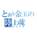 とある金玉の陸上魂（きんたま）