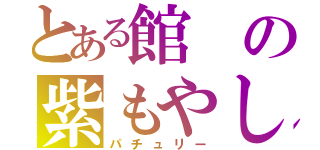 とある館の紫もやし（パチュリー）