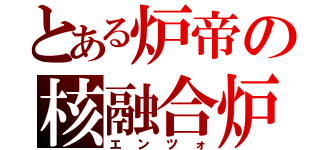 とある炉帝の核融合炉（エンツォ）