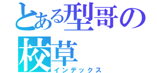 とある型哥の校草（インデックス）