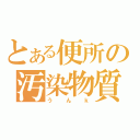 とある便所の汚染物質（うんｋ）