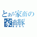 とある家畜の家畜豚（飯田智也）