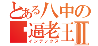 とある八中の屌逼老王Ⅱ（インデックス）