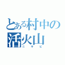 とある村中の活火山（ニキビ）