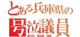 とある兵庫県の号泣議員（野々村 竜太郎 議員）