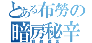 とある布勞の暗房秘辛（銅牆鐵幣）