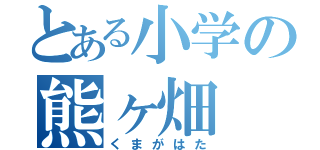 とある小学の熊ヶ畑（くまがはた）