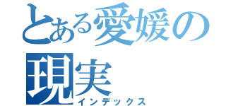 とある愛媛の現実（インデックス）