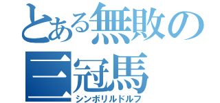 とある無敗の三冠馬（シンボリルドルフ）