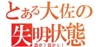 とある大佐の失明状態（目が！目がっ！）