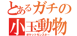 とあるガチの小玉動物（ポケットモンスター）