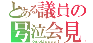 とある議員の号泣会見（うぇっはぁぁぁぁ！）