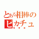 とある相棒のピカチュウ（電撃猫）