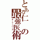 とある仁の最強医術（ホーリーバース）