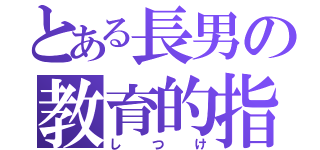 とある長男の教育的指導（しつけ）