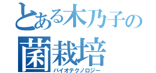 とある木乃子の菌栽培（バイオテクノロジー）