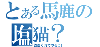 とある馬鹿の塩猫？（塩をくれてやろう！）