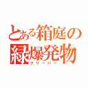 とある箱庭の緑爆発物（クリーパー）