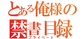 とある俺様の禁書目録（プライベート）