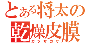 とある将太の乾燥皮膜（カッサカサ）