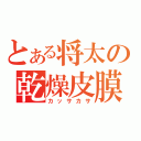 とある将太の乾燥皮膜（カッサカサ）