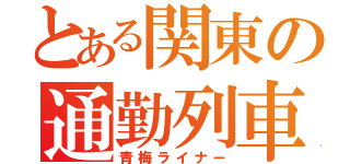 とある関東の通勤列車（青梅ライナー）