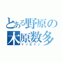 とある野原の木原数多（マゾ太クン）