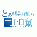 とある爬虫類の二十日鼠（白ちゅうた）