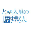 とある人里の歴史獣人（慧音）