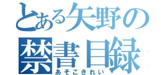 とある矢野の禁書目録（あそこきれい）