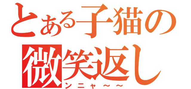 とある子猫の微笑返し（ンニャ～～）