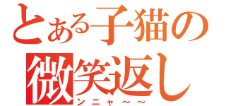 とある子猫の微笑返し（ンニャ～～）