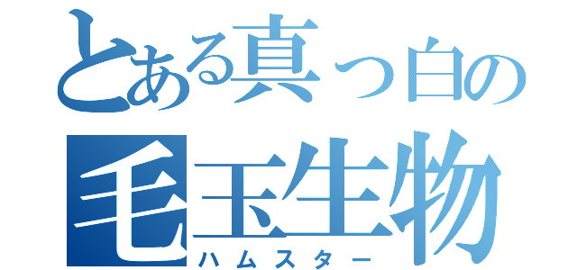 とある真っ白の毛玉生物（ハムスター）